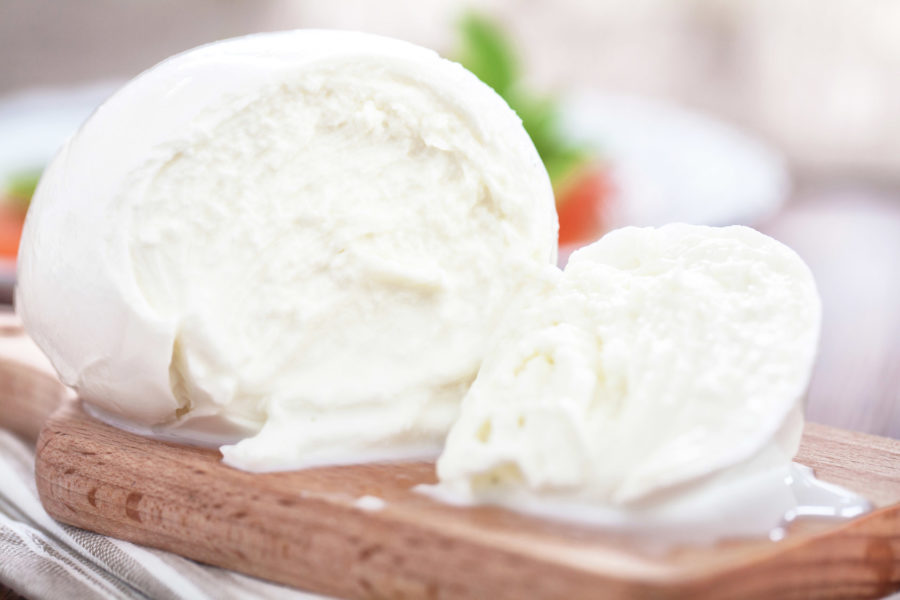 La mozzarella di bufala: Storia e origini